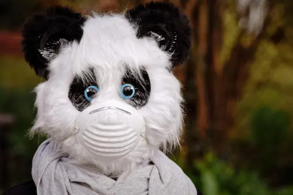 Casino Eight Storm Supporto